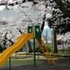 山王公園の桜と滑り台