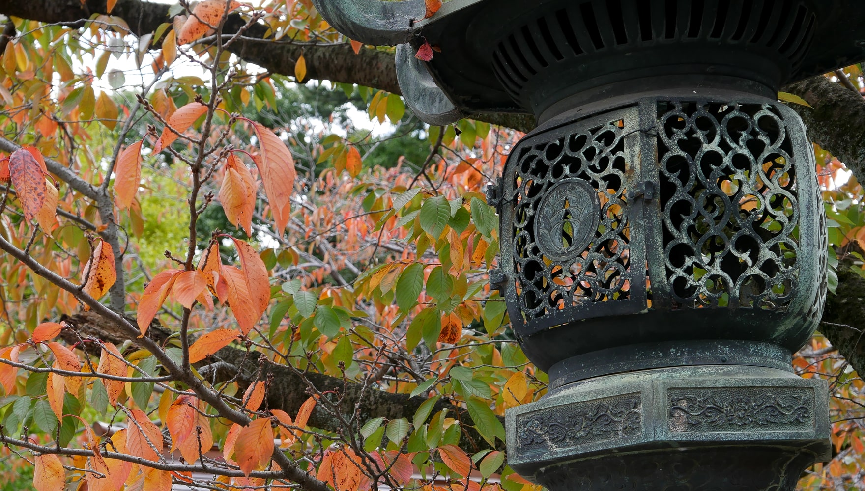 沼津日枝神社 七五三 境内