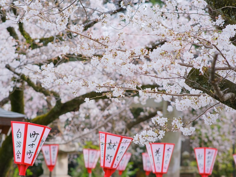 年中行事 | 沼津日枝神社 山王さん