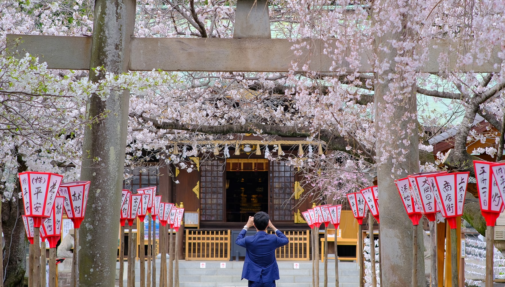 日枝神社の桜 | 沼津日枝神社 山王さん