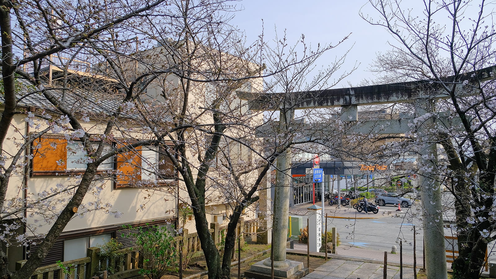 沼津日枝神社 桜 2026年3月29日
