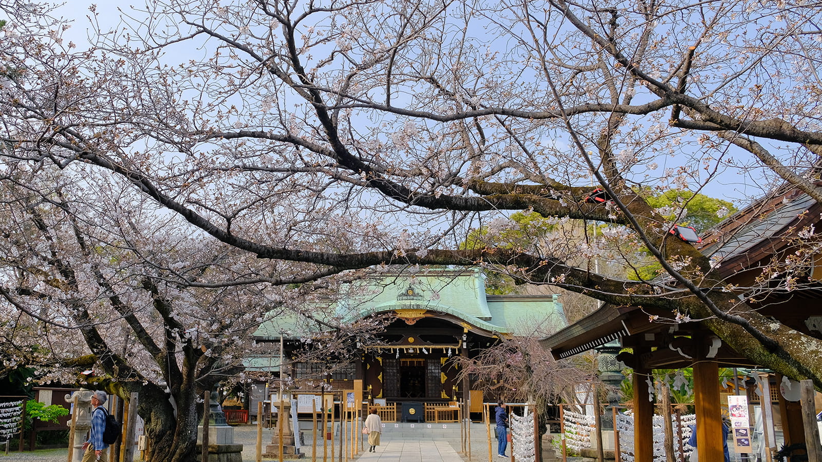 沼津日枝神社 桜 2026年3月29日